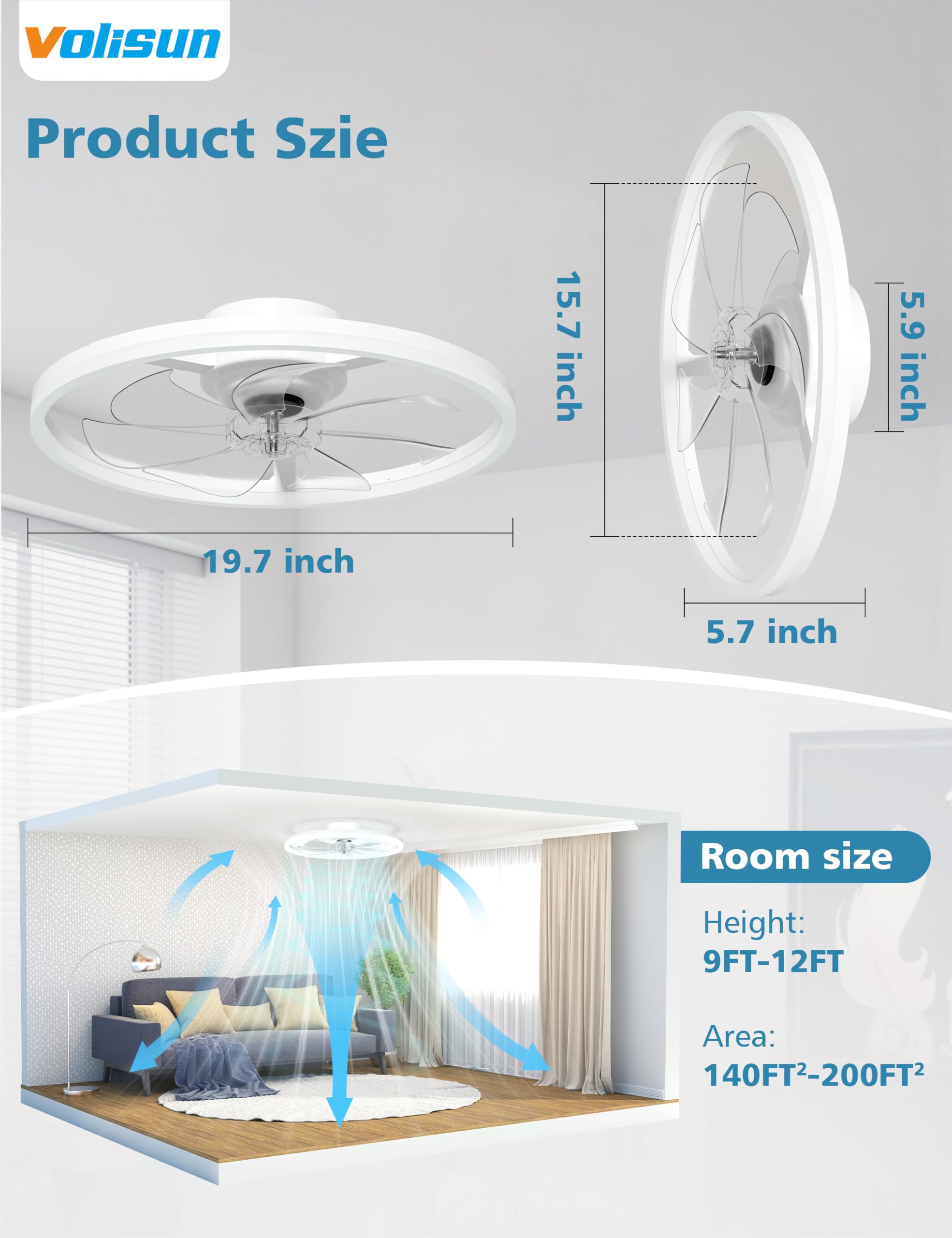 https://m.media-amazon.com/images/I/71ElZyyzceL.jpg