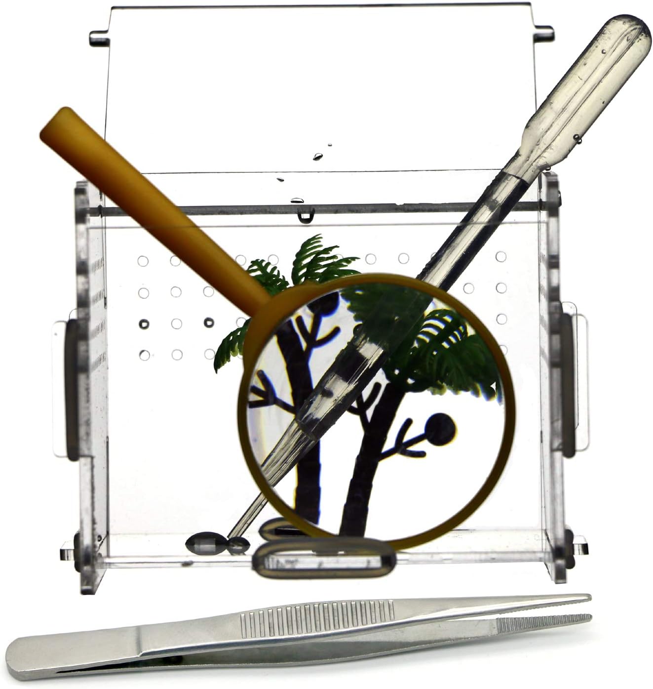 Terrariums Mini Vivariums Crystal Habitat DIY High Transparent Acrylic Box with a Pair Tweezers Magnifier Ideal for Insect Lore Caterpillars Cricket Spider Snail Reptile 4 x 3.7X 3.5 Inch