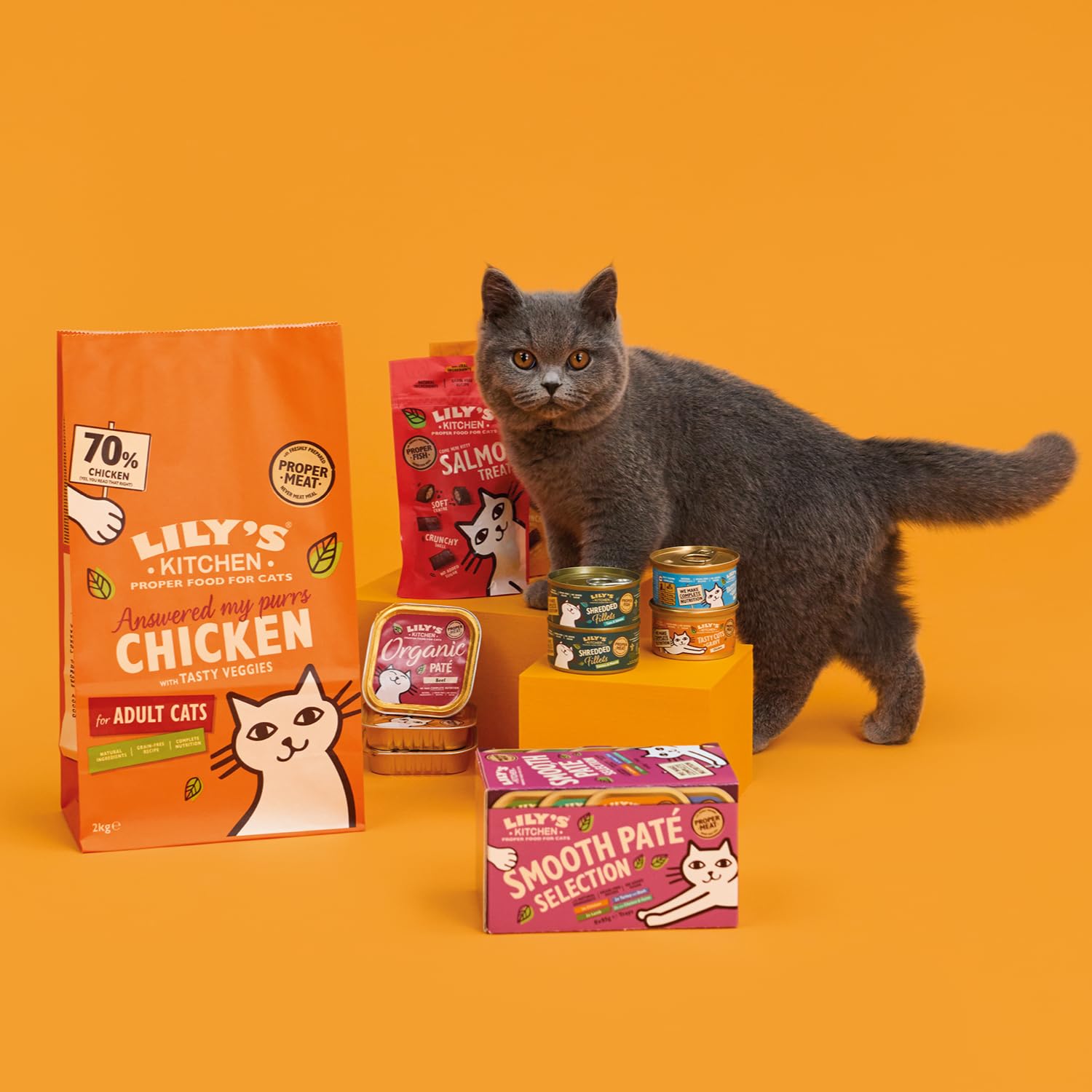Lily’s Kitchen Snack per Gatti con Pollo, 10 x 60 g – Ricette Senza Cereali, Senza Zuccheri Aggiunti, con Ingredienti Naturali