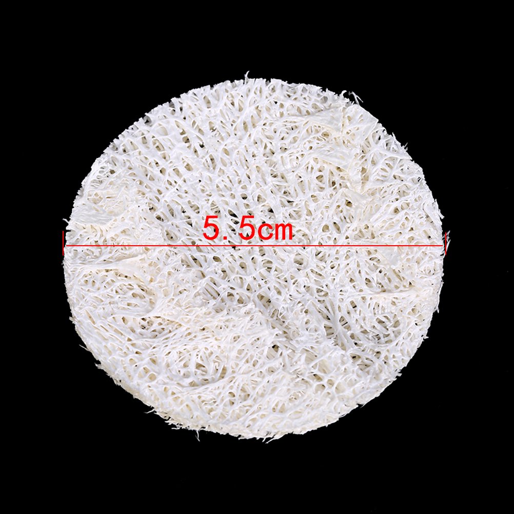 30 Pcs Loofah Cleaning Sponge for Washing Luffa Facial Complexion Skin Disc Disk Pads Exfoliator Pads by PIAOPIAONIU