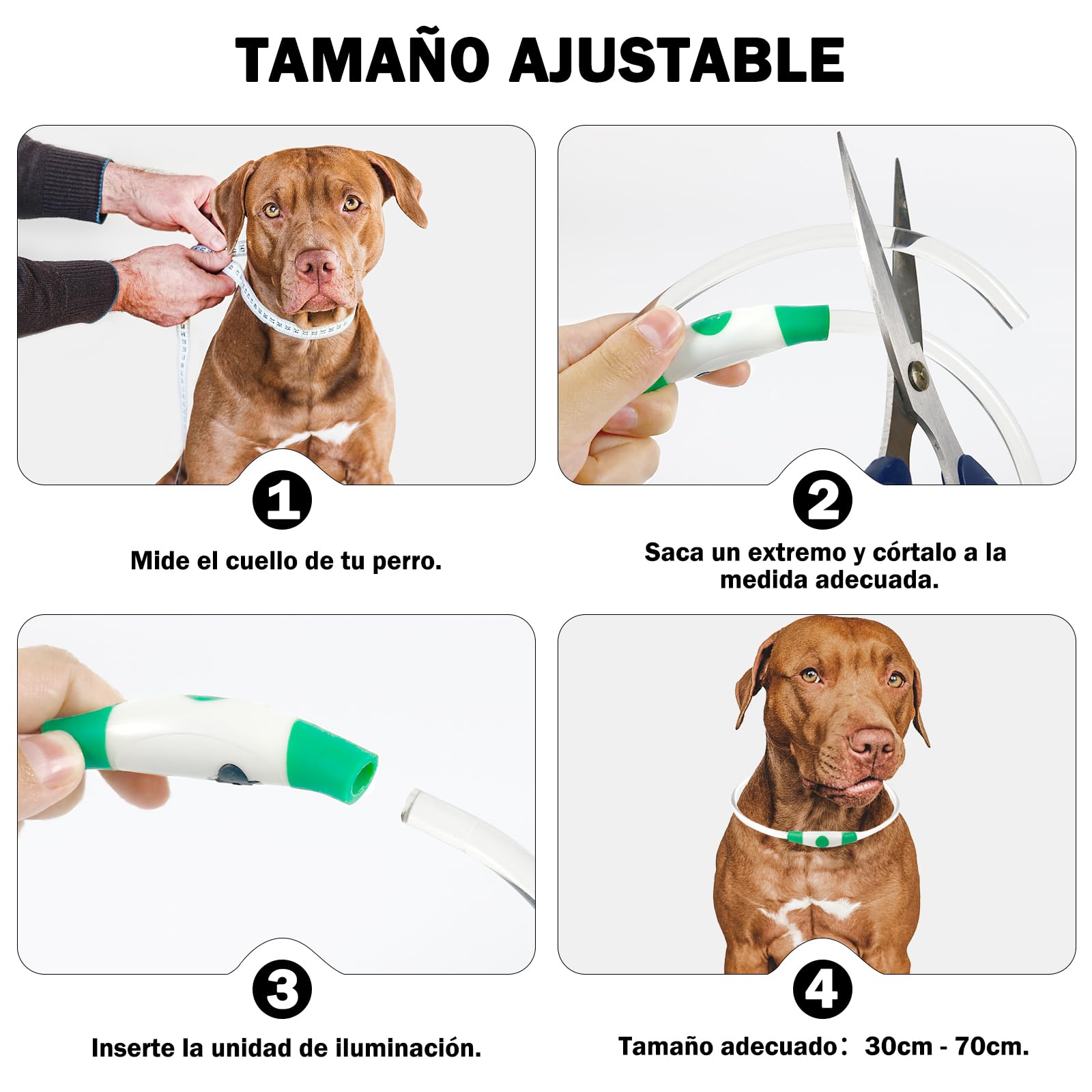 Nepfaivy Collare Luminoso per Cani - Collare per Cani a LED Ricaricabile per Portare a Spasso di Notte, Collare per Cani Impermeabile e Regolabile con 3 Modalità di Lampeggio, Rosso