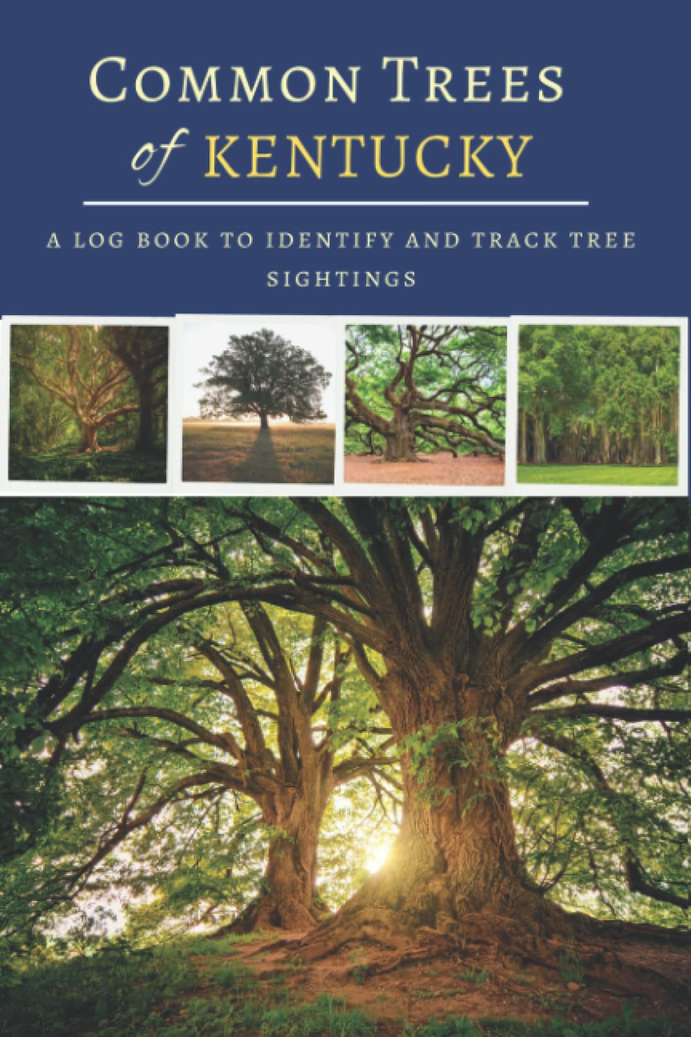 Common Trees of Kentucky Identification Record Book A Companion Log To
