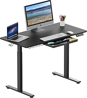 48-Inch Electric Height Adjustable Standing Desk with Drawer, Memory Pre...