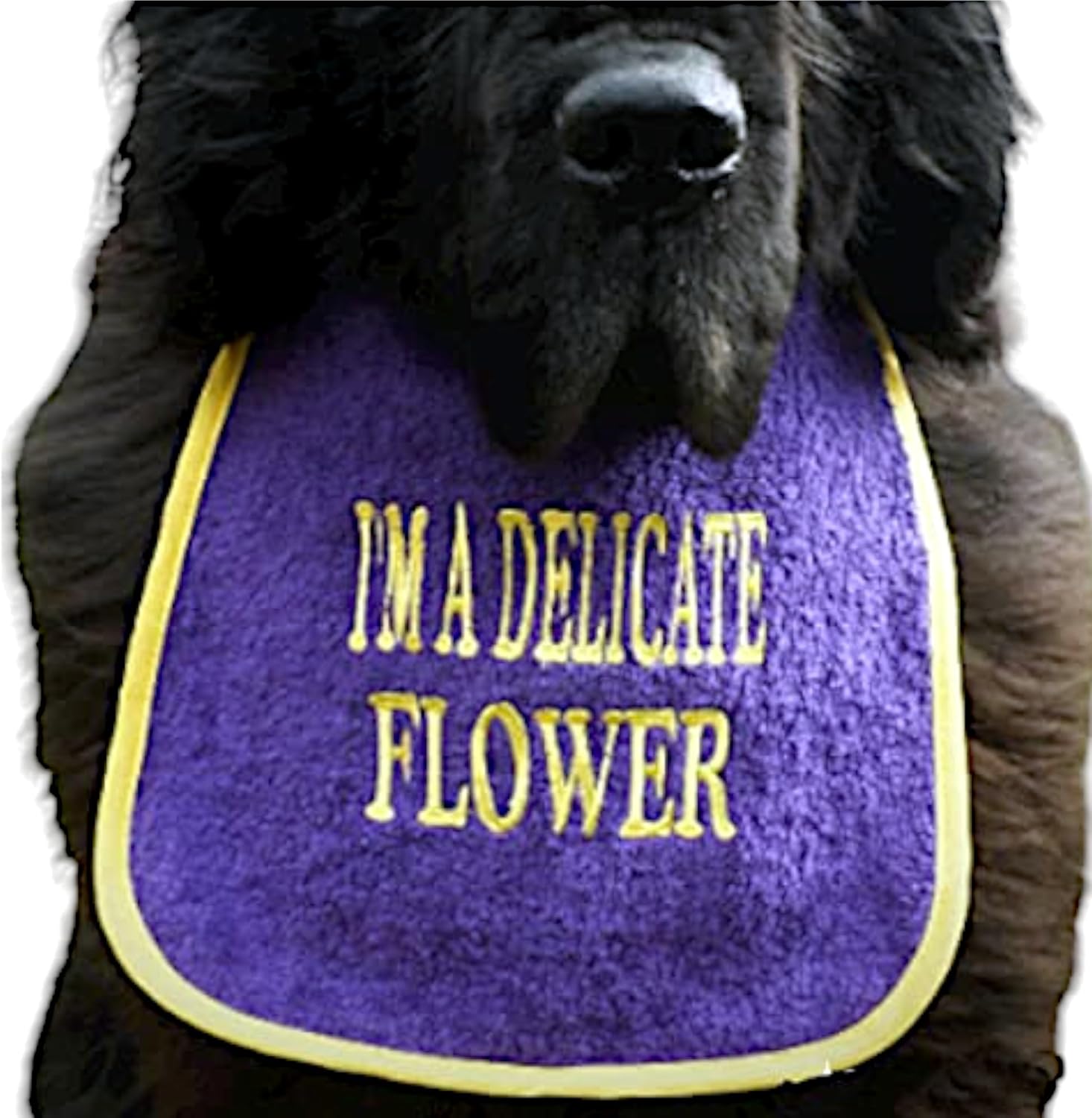 Elegant 'Delicate Flower' Dog Bib: Personalized, Handmade, and Waterproof Backing - no Mess - from pups to Adults - Choose Colours and Sizes