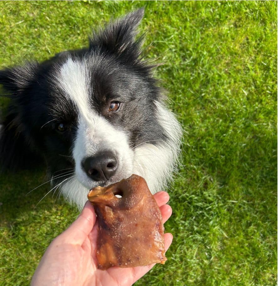 Getrocknete Schweineschnauze, Schweinenasen für Hund 1kg, natürlicher Kausnack Hund, proteinreich & leicht verdaulich, Einzelfuttermittel ohne Getreide & künstliche Zusätze von Lucze