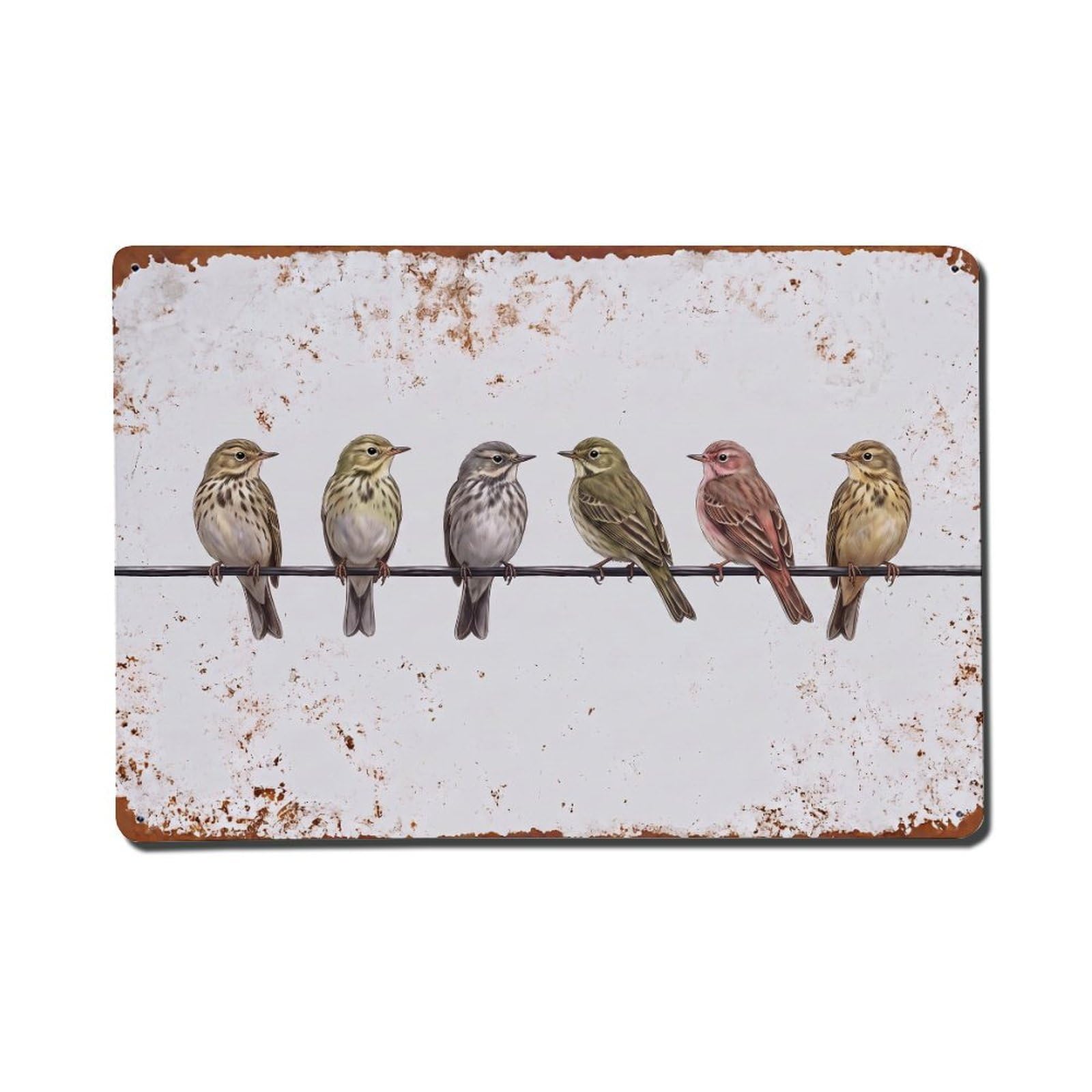 Vintage Retro Birds Pipit Metal Tin Sign