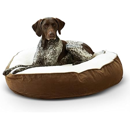 amazon dog beds for less