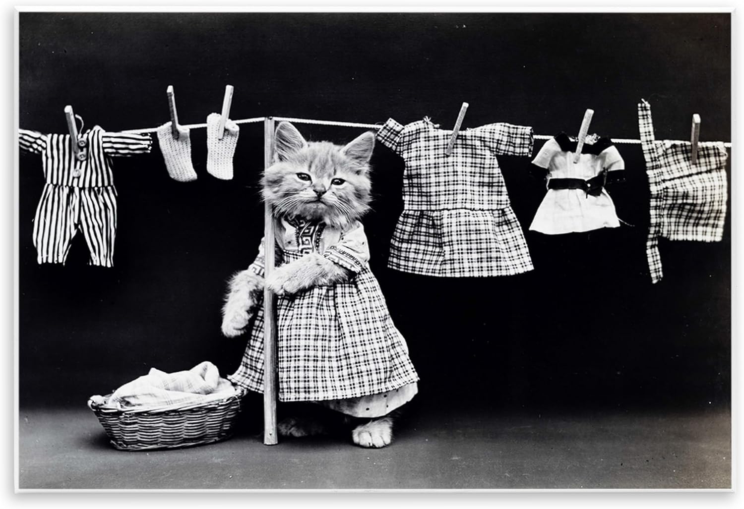 Stupell Industries Kitten Does The Laundry Oversized Wall Plaque Art, Proudly Made in USA, 13 x 19