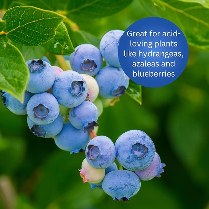 Earth Science Fast Acting Sulfur Granules 5lb miniatura 8