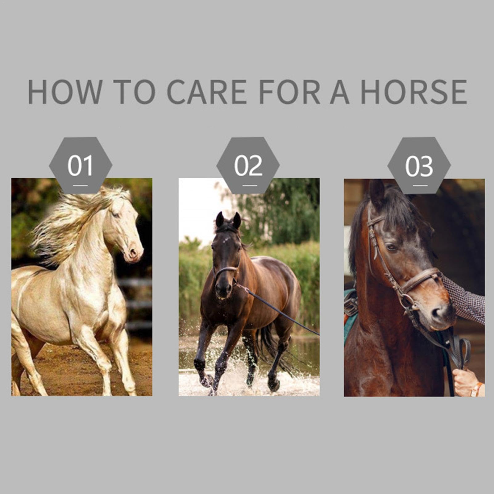 Outil de perte de poils de cheval 1/2 – Brosse à dents en acier inoxydable | pour poils de chevaux, chiens, chats, chèvres, vaches