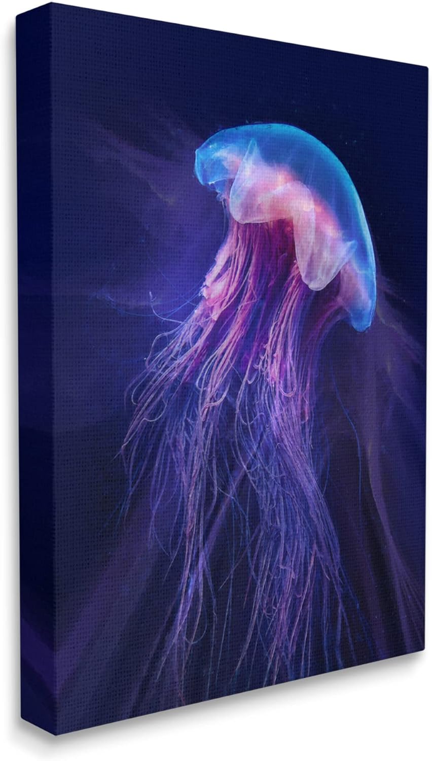 Stupell Industries Vivid Purple Jellyfish Swimming Ocean Sea Life, Design by Steve Hunziker