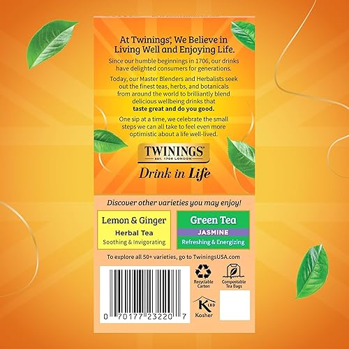 Vista 159 de Twinings, Pure Green Tea - Té verde con sabor suave y aroma atractivo con cafeína, disfruta caliente o helado, bolsas de té individuales