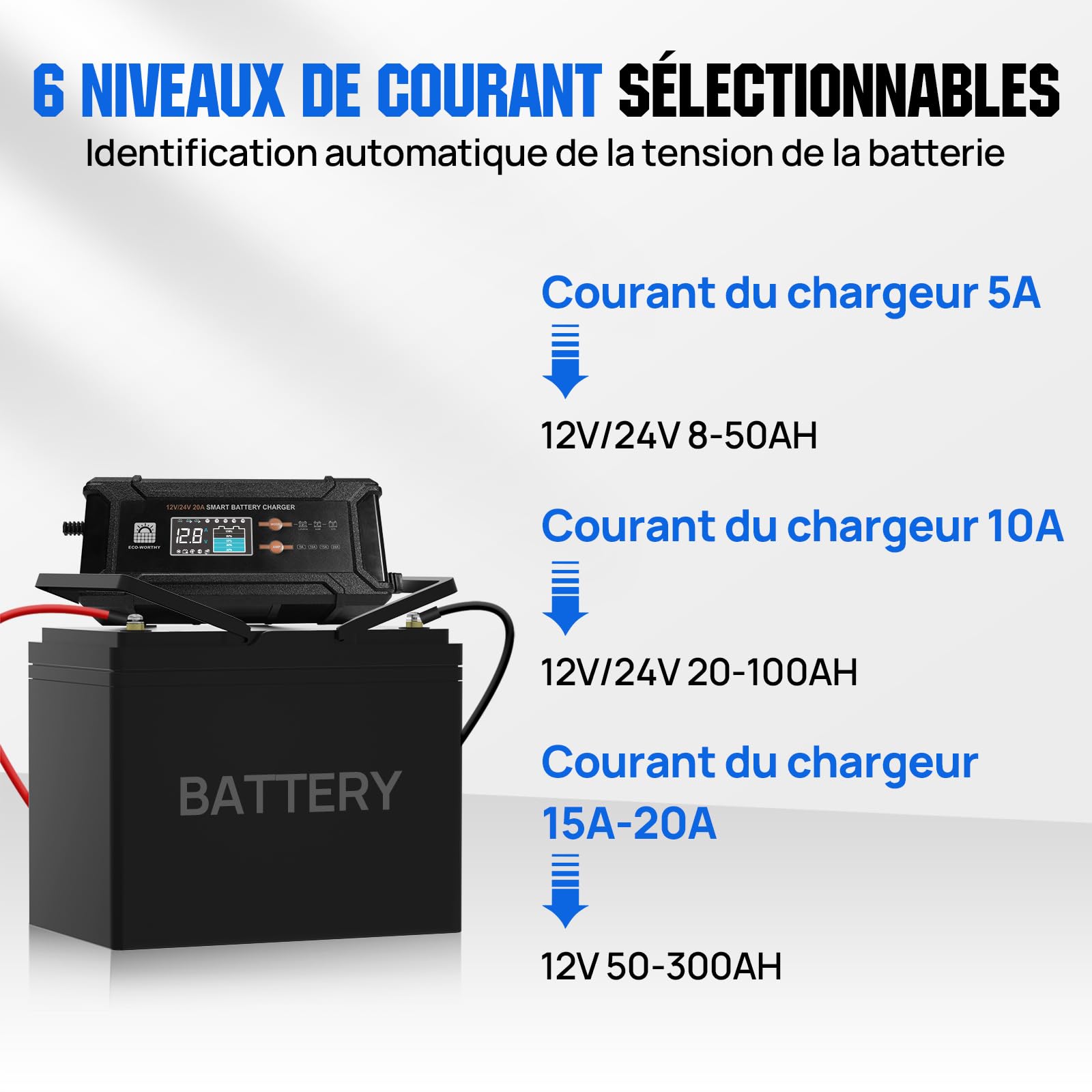 ECO-WORTHY 12V/24V 20A Chargeur de Batterie LiFePO4 avec Options Multi-Courant 5A/10A/15A/20A,détection Automatique de la Tension de la Batterie Plomb-Acide LiFePO4