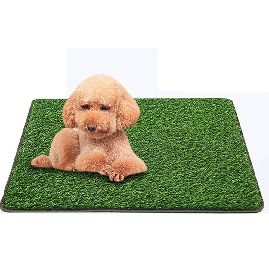 Amazon | AlAgirls 人工芝 犬 トイレシート ペットシート