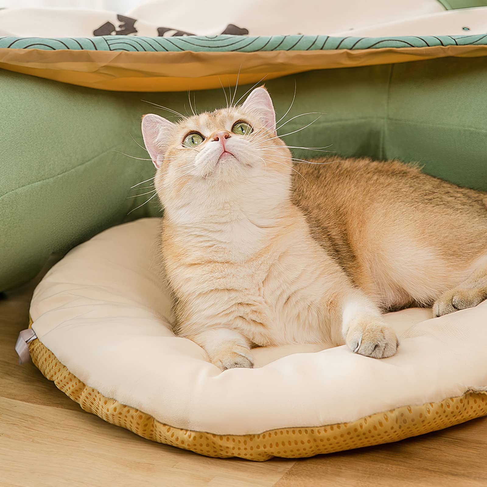 Galatée Katzentunnel, Katzenbett Für Den Innenbereich, Haustierhöhlenbett Mit 1 Hängenden Kratzbällen, Zusammenklappbarer Runder Katzentunnel, Katzentunnelbett(Blau)