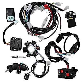Hoypeyfiy Complete Electric Wiring Harness Wire Magneto Stator for GY6 150cc Performance Parts 4-Stroke Engine 125cc 150cc Pit Bike Scooter ATV Quad