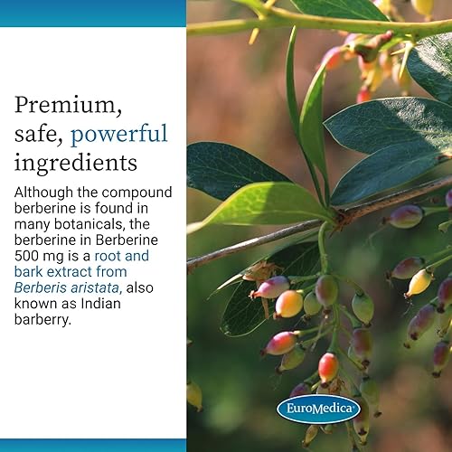 Miniatura 5 de EuroMedica Berberina 500 mg - Suplemento de apoyo a la salud cerebral y hepática - Suplemento dietético con extracto de raíz de agracejo indio -