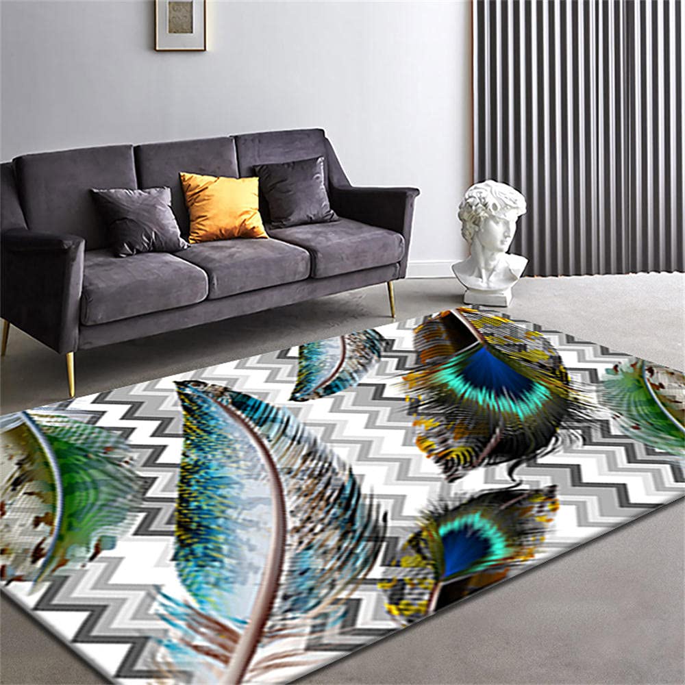 Tapis ado fille plumes colorées grand tapis chambre enfant 120X160