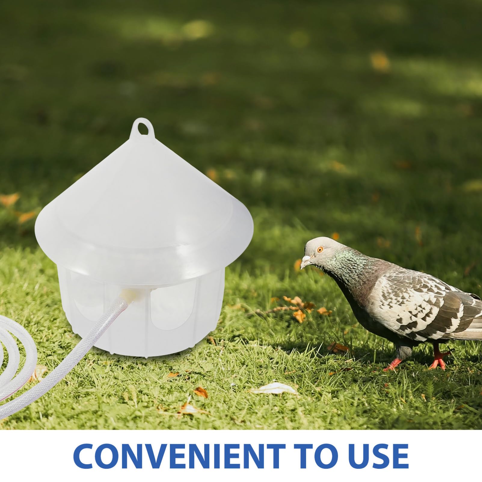Toddmomy Bebedero para Palomas Automático De Plástico Comedero para Jaulas De Pájaros Suministros para Aves Adecuado para Criaderos De Palomas y Codornices