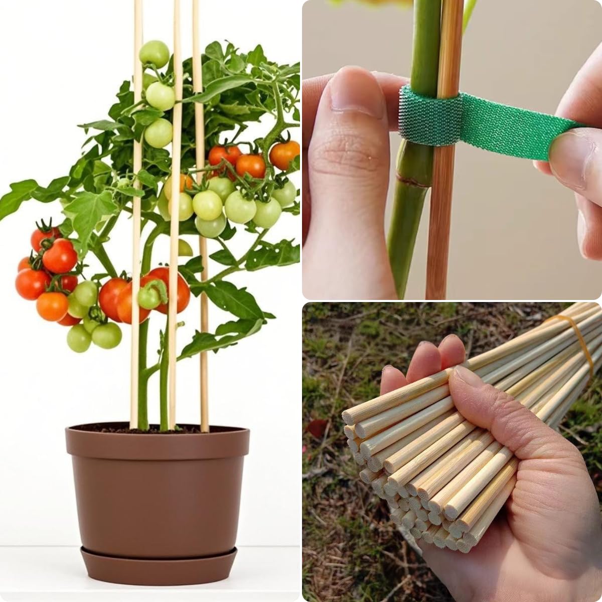 100 bastoncini in bambù per arrostire marshmallow, extra lunghi 91 cm, per smores, resistenti bastoncini di bambù per esterni, per braciere, barbecue, campeggio, kebab, hot dog e feste