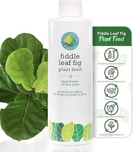 Miniatura 5 de Fiddle Leaf Fig Tree Plant Food- Abono para Ficus Lyrata fortificado con calcio, libre de urea y con relación nitrógeo/fósforo/potasio de 3-1-2 para