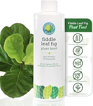Fiddle Leaf Fig Plant Food 312 Balanced NPK Liquid Fertilizer for Larger Leaves, Stronger Roots & Steady, Vibrant Growth | Suitable for All Ficus Including Ficus Lyrata | Made in USA | 8 oz