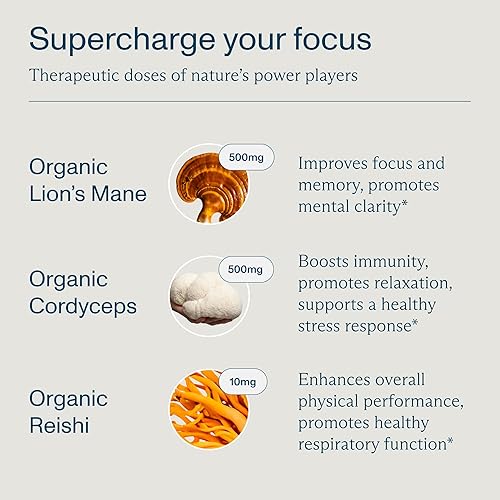 Miniatura 3 de FOCL Gomitas de hongos de melena de leones  Suplemento de hongos para la función cerebral, concentración, memoria, energía, refuerzo inmunológico,