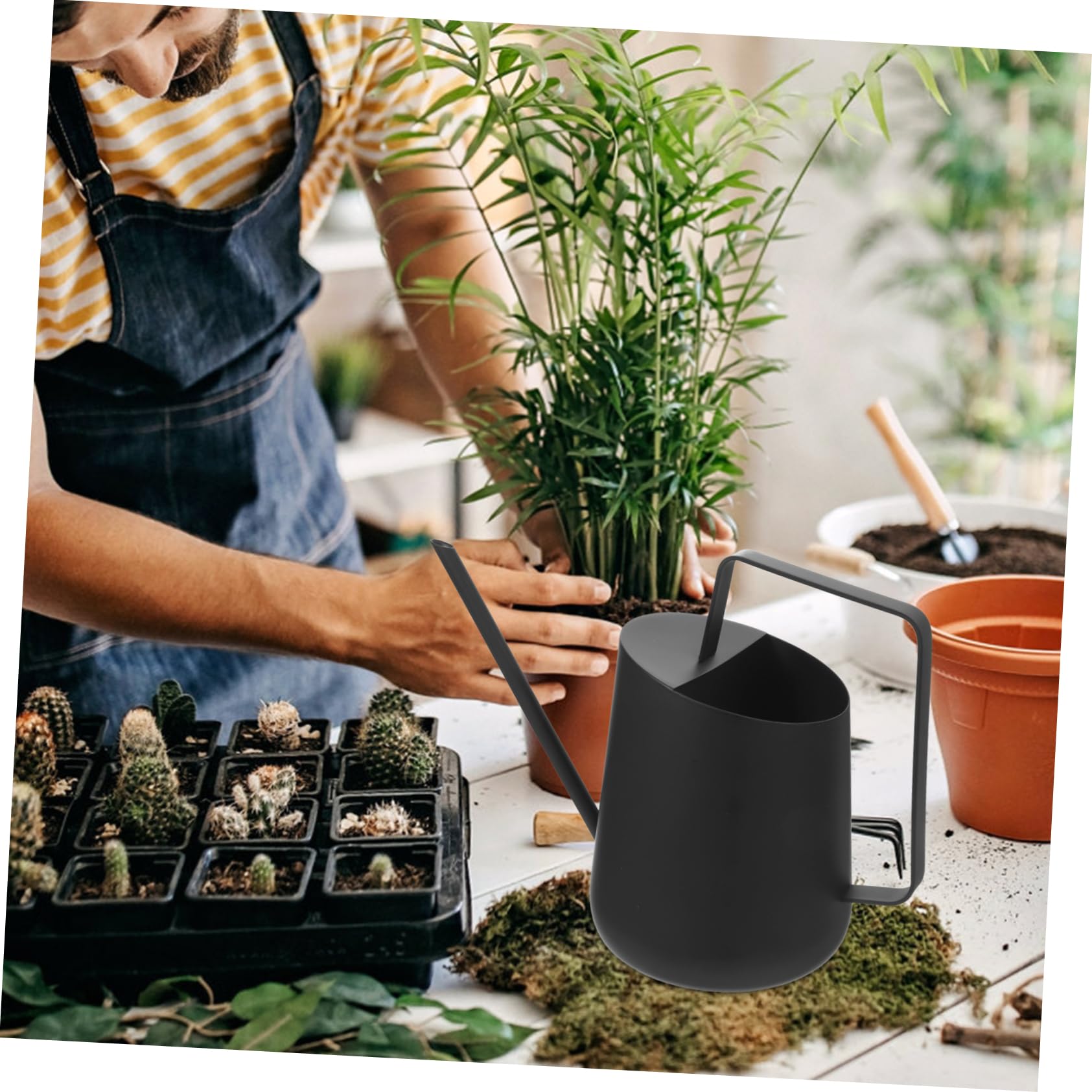 HANABASS 2 Pezzi Annaffiatoio Inossidabile con Beccuccio per Giardinaggio Indoor e Outdoor Facile Maneggiare per Famiglia