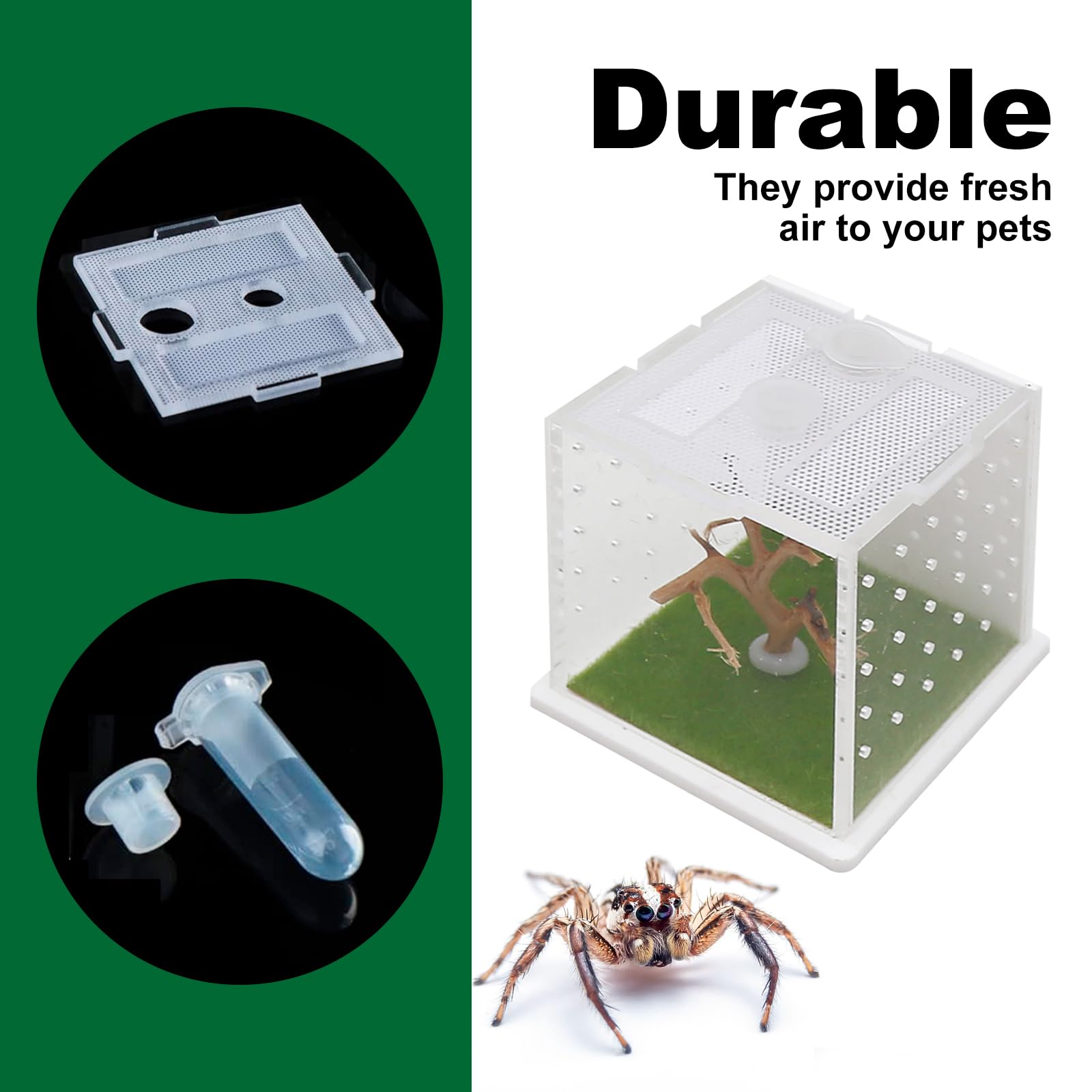 FRCOLOR 2 Sets Spinnen Terrarium Acryl Terrarium Tank Cricket Hek Doorzichtige Spinhabitatdoos Spider Habitat Container Springt Behuizing Voor