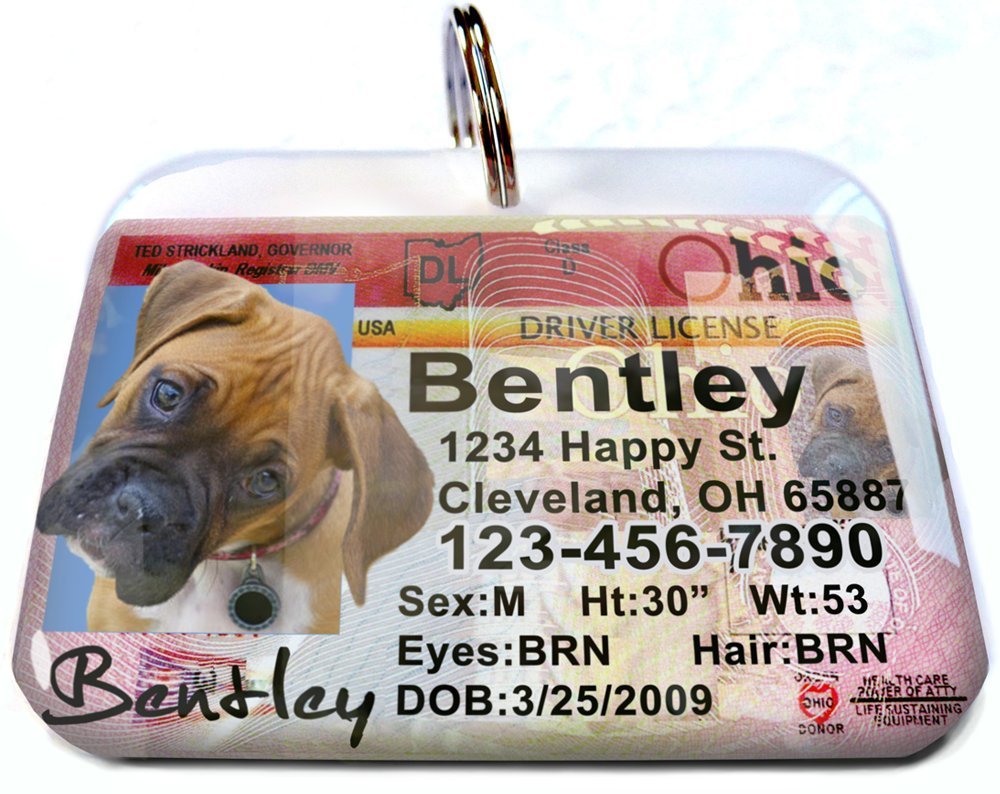 How Do You Register A Dog In Ohio