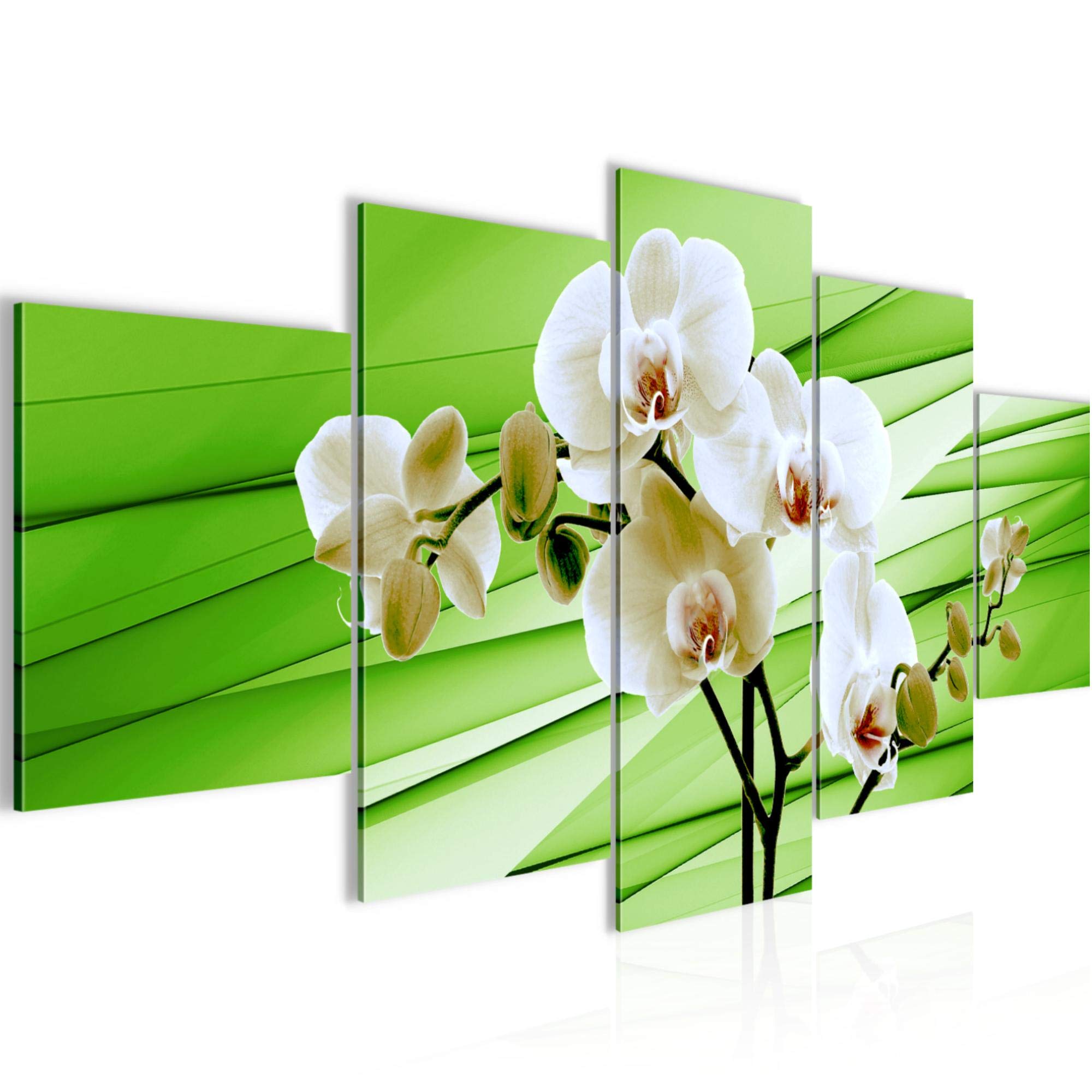 Runa Art C Orchid Flowers Image Non-Woven 5 Pieces Abstract Green Bedroom Hall 202053