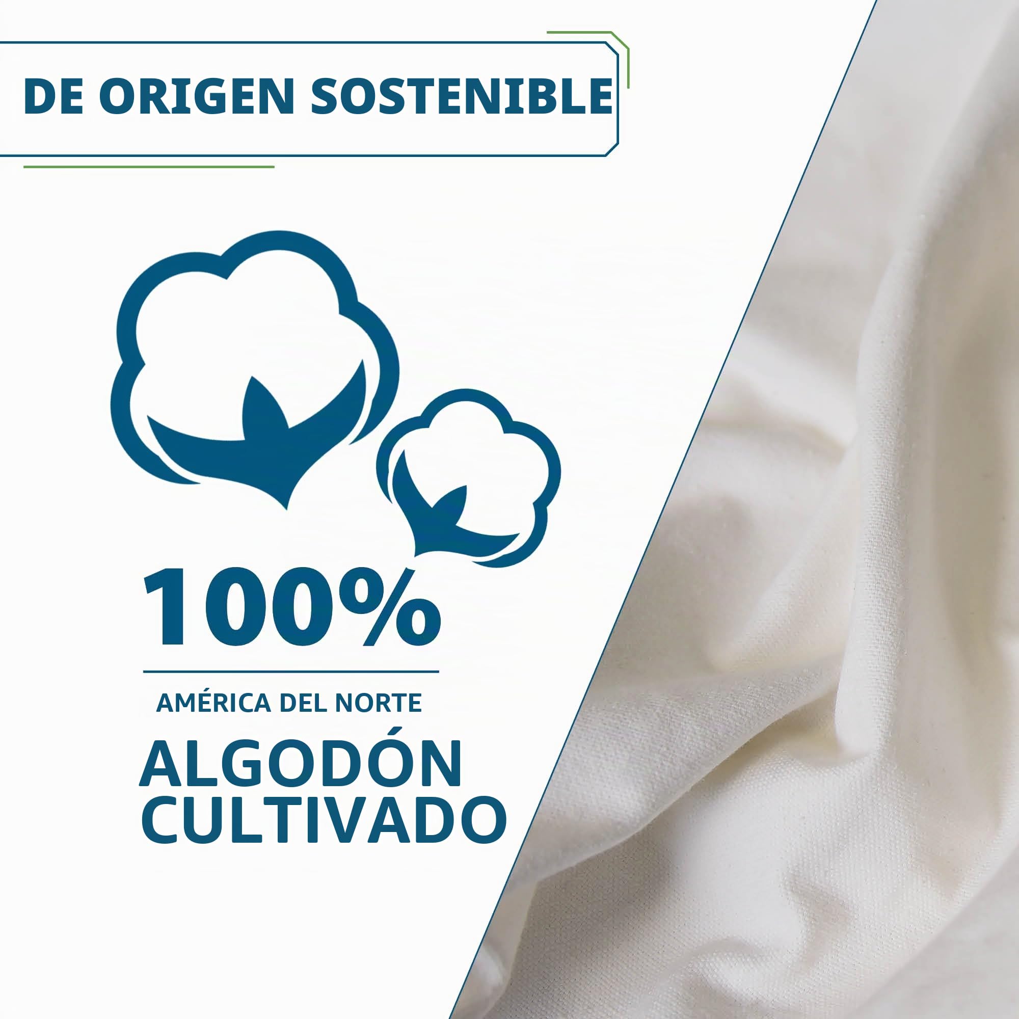 Vivere C8SPCT - Doble algodón hamaca con madera de pino maciza Arc función atril – Natural