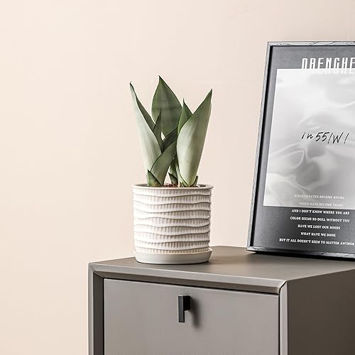 Miniatura 4 de Maceta de cerámica de 6 pulgadas maceta de cerámica con orificio de drenaje y platillo  Maceta para plantas de interior y exterior  Maceta con