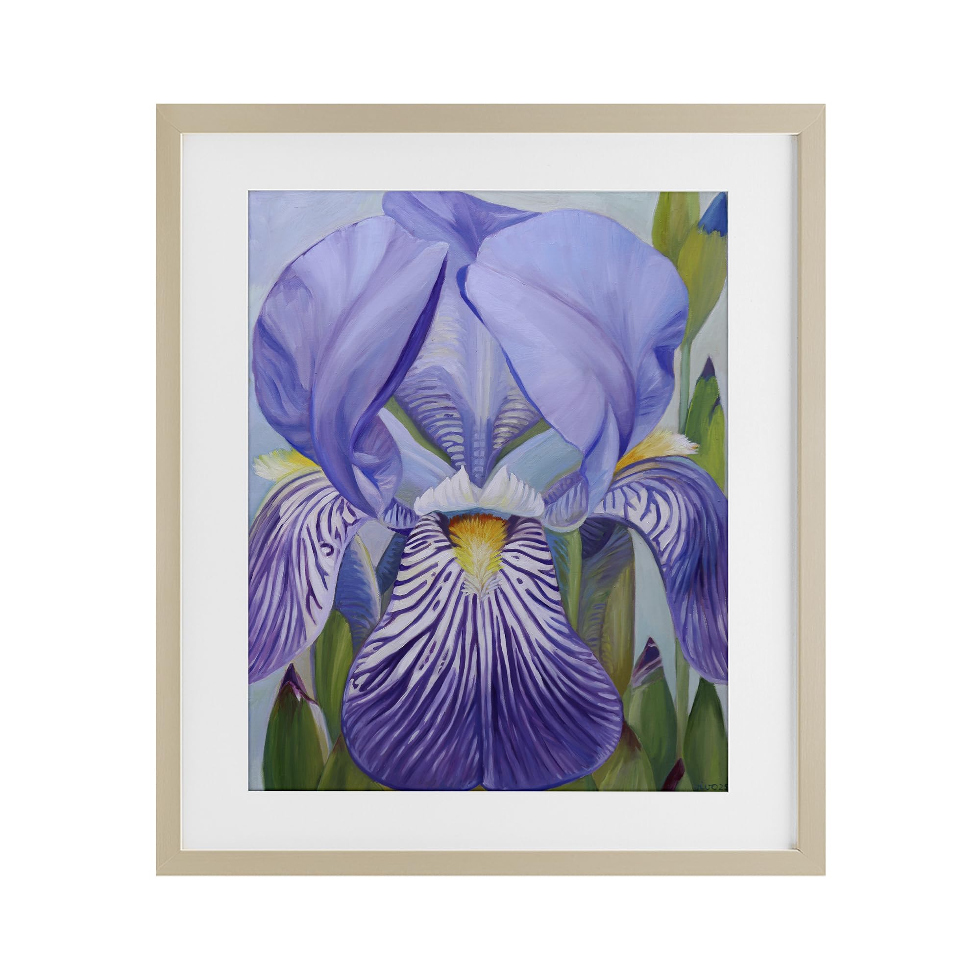 Stupell Industries Harvest Pine (Textured) 'Blooming Purple Iris Petals'| Framed Print Under Glass