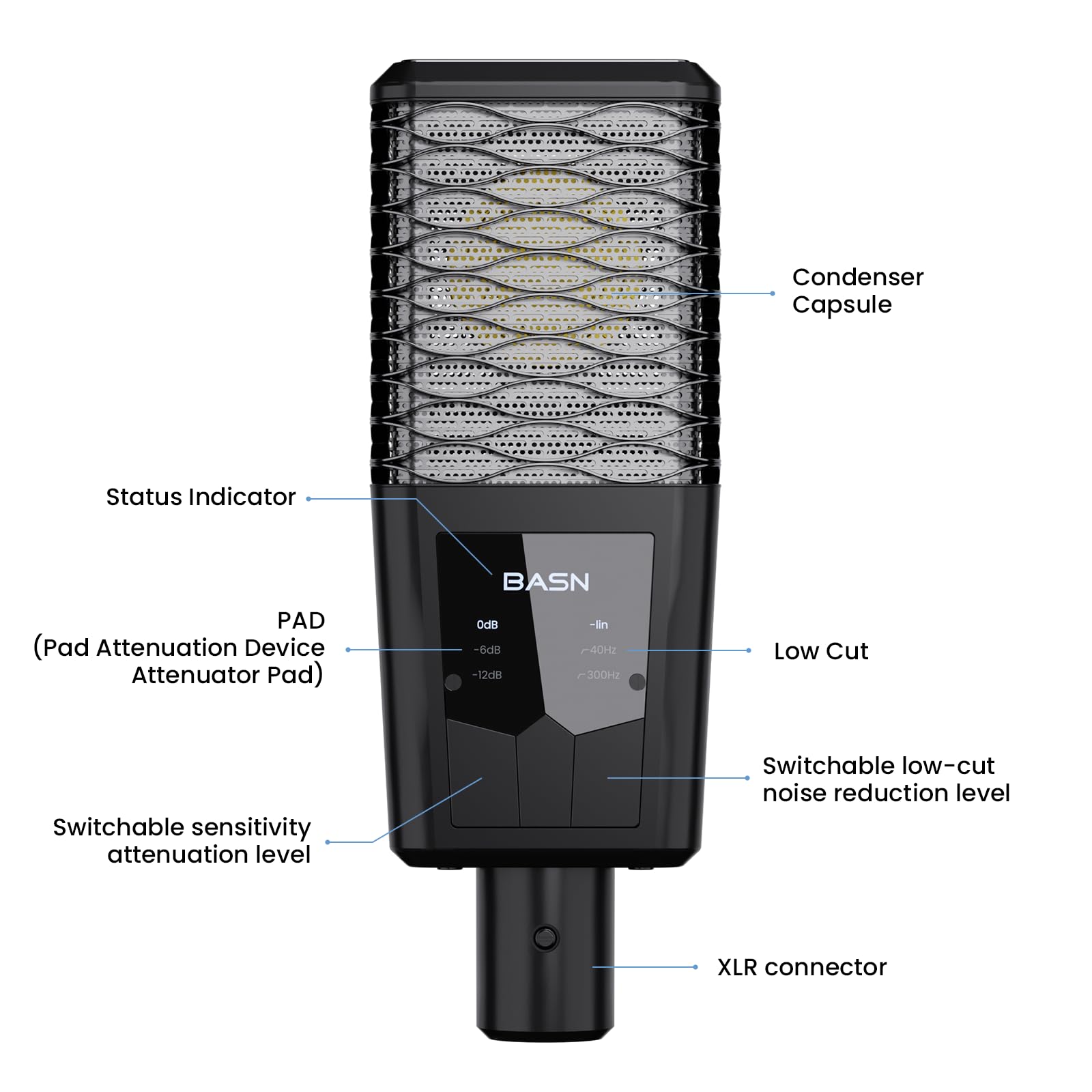 BASN BMS2 Großmembran Nierencharakteristik Tonabnehmer Studio Kondensator XLR Mikrofon geeignet für Aufnahme, Podcasting, Singen, Streaming (Schwarz)