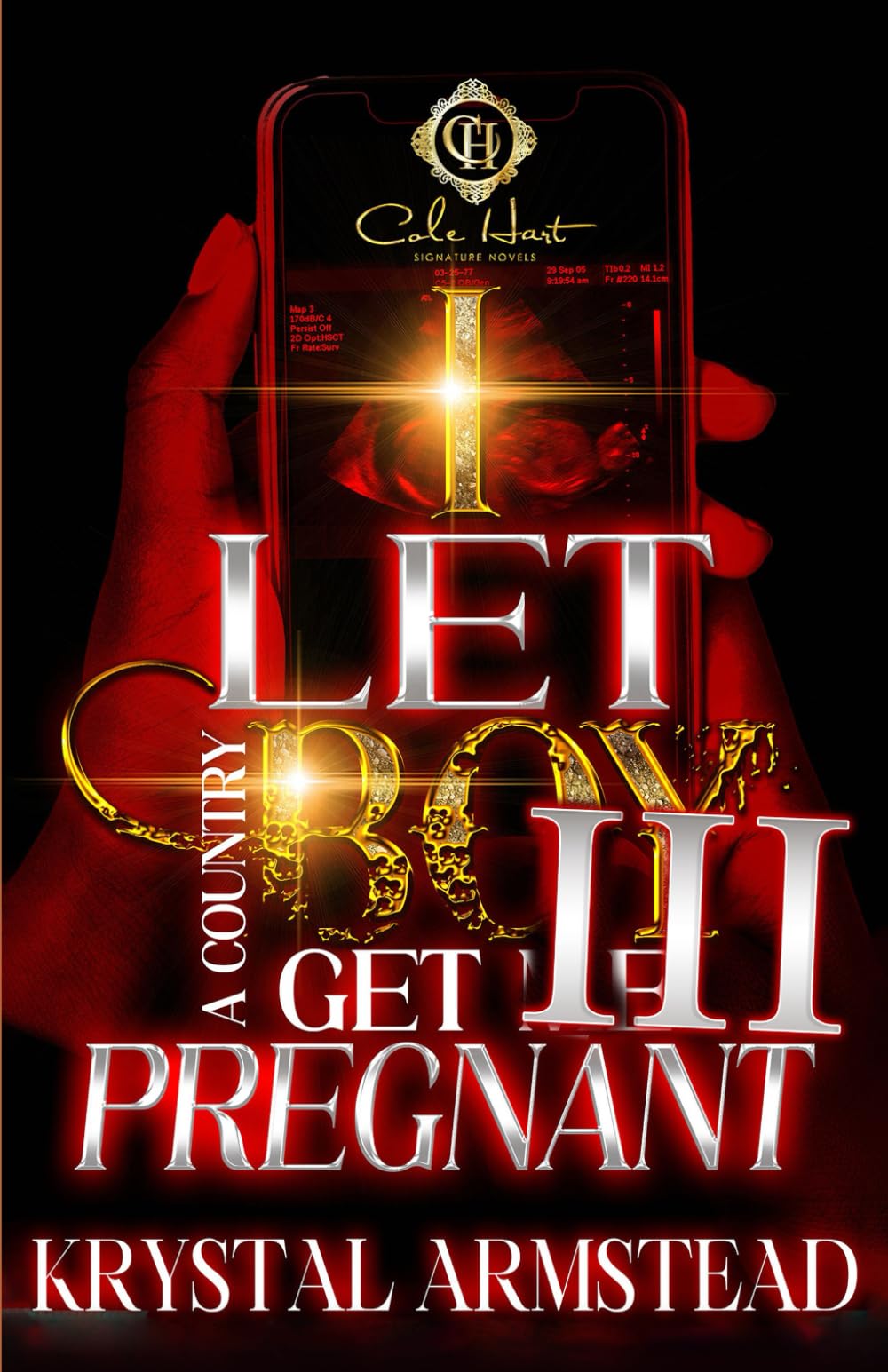 I Let A Country Boy Get Me Pregnant 3: An African American Romance: The Finale