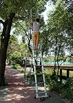 13.5ft/14ft/16ft Professional Wide Step Telescoping A-Frame Ladder for Stairs,Extension Folding Ladder with Support Bar Anti-Slip,Load 330lb,5M+5M(16ft+16ft)