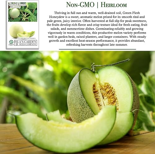 Miniatura 3 de Semillas de miel "Green Flesh" para plantar, más de 50 semillas de reliquia por paquete, semillas de jardín de Isla (semillas de jardín de Isla),