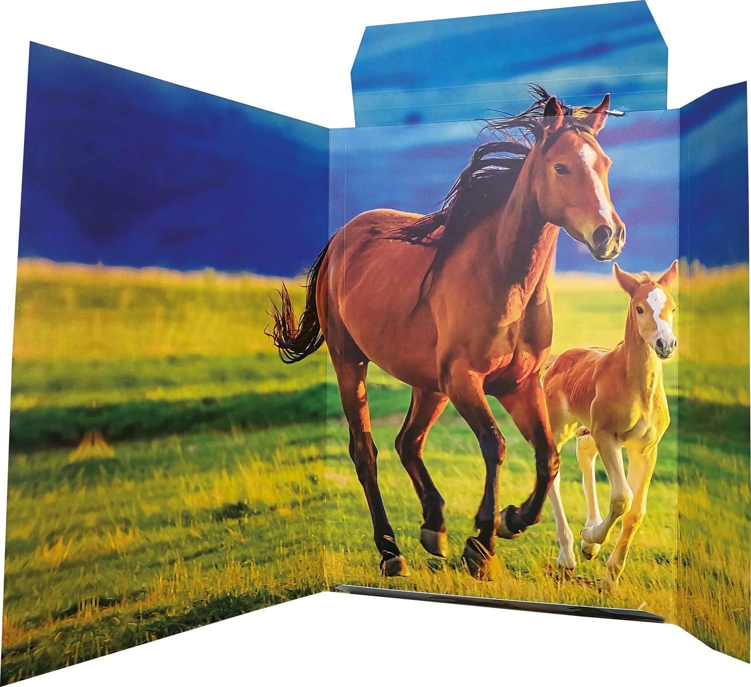 RNKVERLAG Free Horses 45353-3 Portfolio Folder 310 x 440 mm Pack of 3 DIN A3 with Elastic Closure
