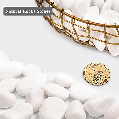 Miniatura 3 de Ausluru Piedras decorativas naturales pulidas de 20 libras, ideales para peceras, jarrones, suculentas, decoración del hogar y paisajismo de jardín,