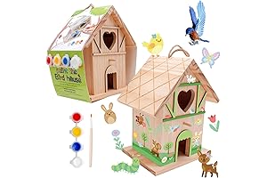 DIY Arts and Crafts: Birdhouse Painting Kit for Kids Ages 3-12