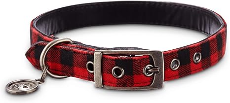 hip dog collars