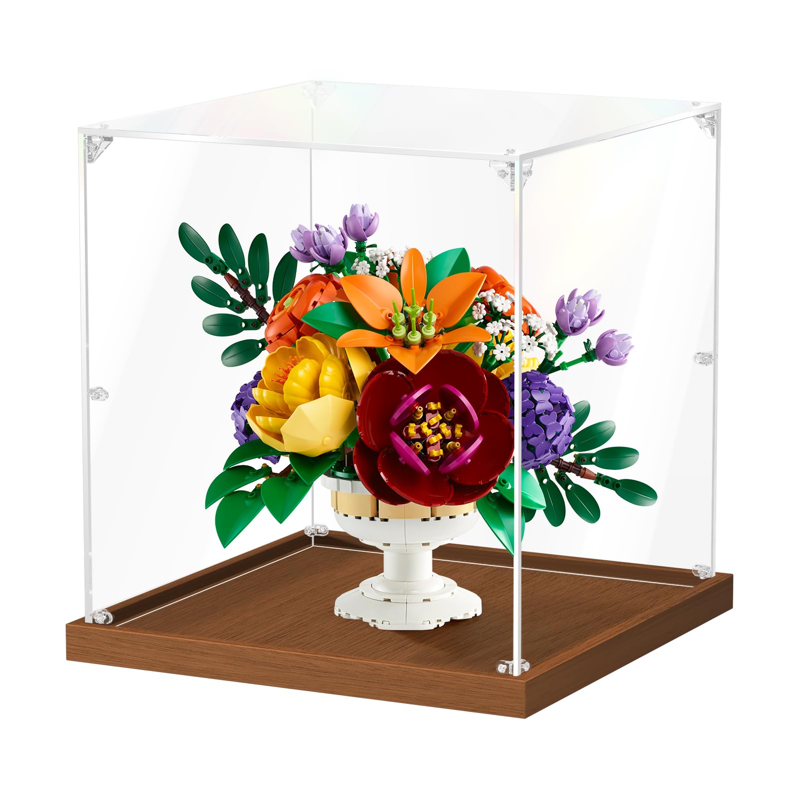 Acryl Vitrine Schaukasten mit Holzoptik Staubgeschützt Klare Box