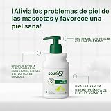 Ver la foto 5