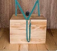 Vista 3 de Majestic Ally Collar de pecho acolchado de nailon para caballos (turquesa, completo)