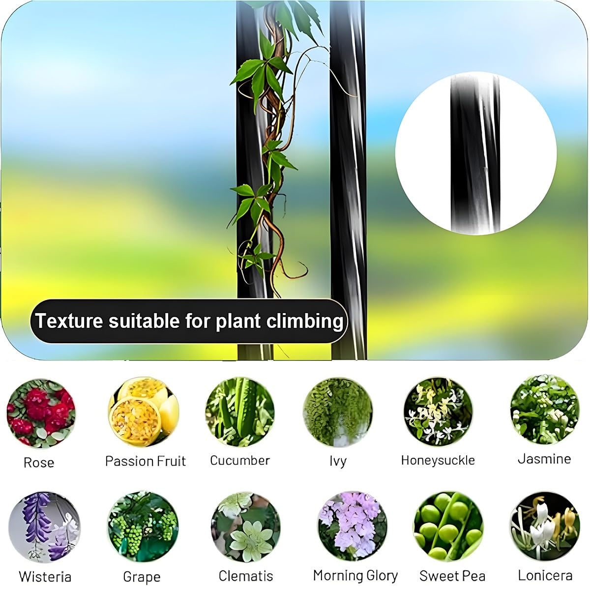 Demi-Arche Support De Jardin Pour Plantes Grimpantes, 240cm 267cm Arceau À Rosiers Tuteur Colonne De Jardin, Tonnelle Pavillon Rosiers En Métal(Black,60x240x45cm