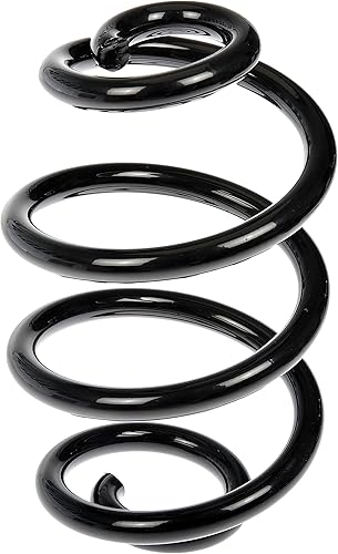 Dorman 926-577 Front Coil Springs for Select BMW Models