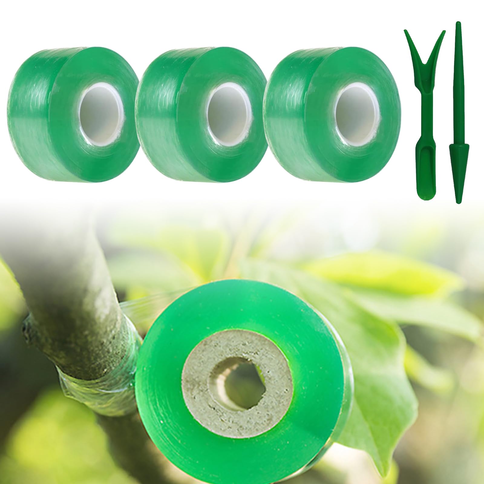 Easytle Rotolo Nastro Elastico Per Piante In Vinile Verde - 10 Pezzi Da 45,7m X 1,27cm - Legacci Elastici Per Giardinaggio, Fissaggio Viti E Rami - 3