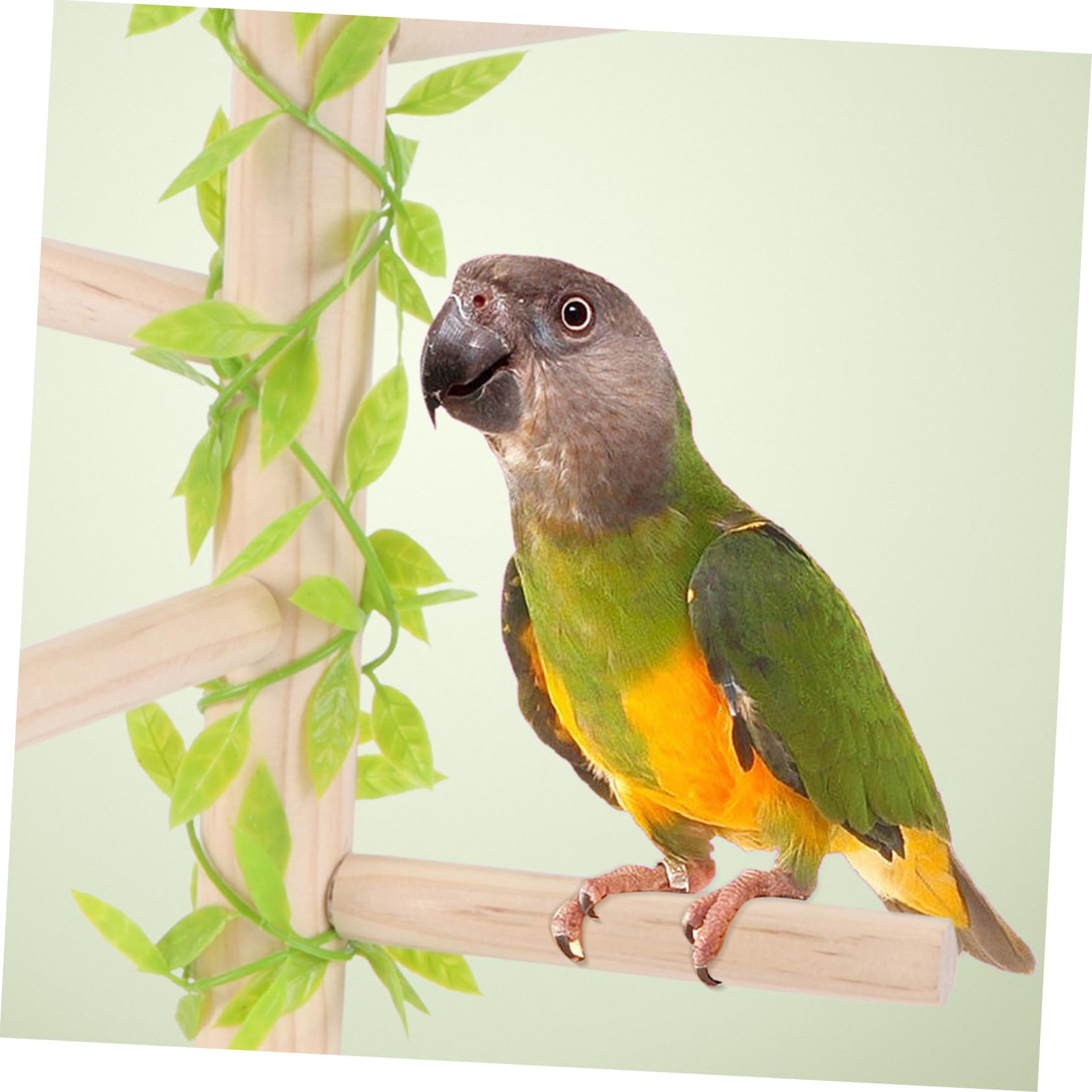 ifundom 1PC Solid Multi Forked Parrot Perch Rack Practical Bird Stand Pole for Birds Natural Pine Design Keeps Pets Engaged and Happy
