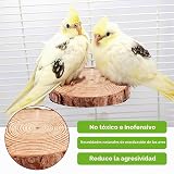 Ver la foto 6